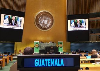 Participación de Guatemala en la Cumbre sobre Diversidad Bilógica de la ONU en 2020.