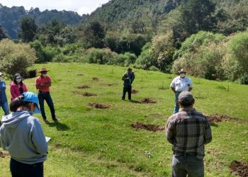 Plantan mil 600 árboles en ribera del río Xayá, Chimaltenango