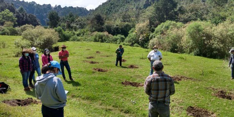 Plantan mil 600 árboles en ribera del río Xayá, Chimaltenango