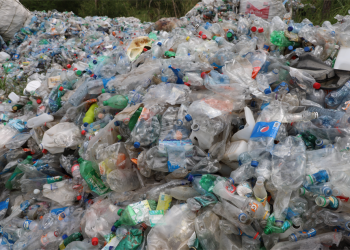 Proyecto piloto Salvemos el Motagua logra recolección de 33 mil libras de plástico