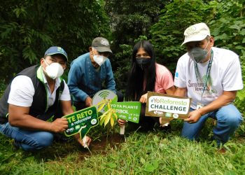 Sembrando Huella concluye y registra 412 mil 227 árboles plantados