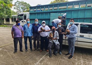 MAGA promueve cultivo de plátano en Jutiapa