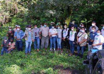 Campaña Reforestemos Guatemala sigue repoblando áreas boscosas