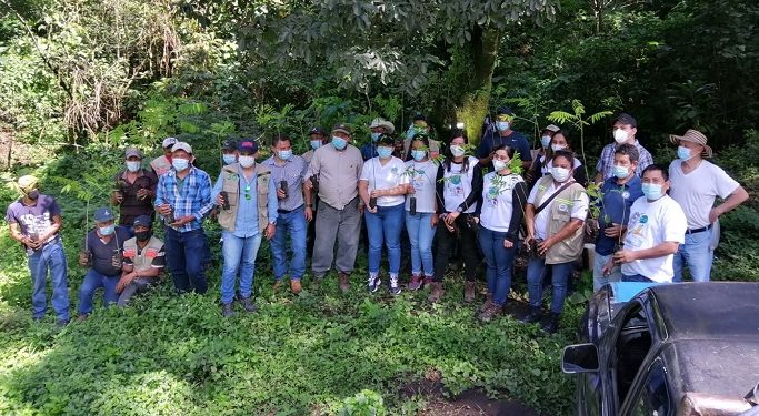 Campaña Reforestemos Guatemala sigue repoblando áreas boscosas