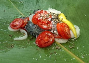Producción de tilapias genera ingresos a vecinos de Suchitepéquez