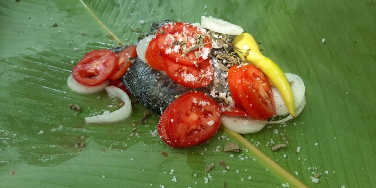 Producción de tilapias genera ingresos a vecinos de Suchitepéquez