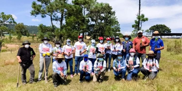 Jóvenes celebran independencia de Huehuetenango con jornada de reforestación