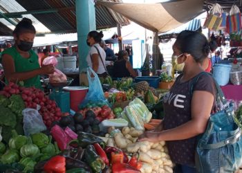 PMA entrega segundo aporte a familias favorecidas con transferencias monetarias no condicionadas