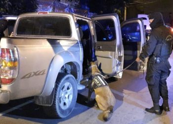 Con agente canino descubren droga oculta en un picop durante operativo en la zona 6