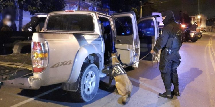 Con agente canino descubren droga oculta en un picop durante operativo en la zona 6
