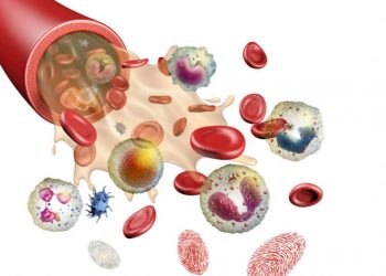 Aumentan los donantes de médula ósea y los trasplantes en 2021 pese a COVID-19
