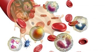 Aumentan los donantes de médula ósea y los trasplantes en 2021 pese a COVID-19