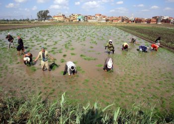 Egipto apuesta por el reciclaje del agua ante la amenaza de la escasez