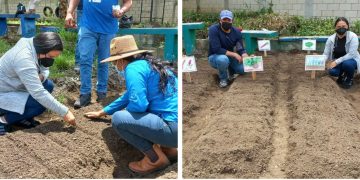 MAGA implementa huerto pedagógico en comunidad de El Progreso, Jutiapa