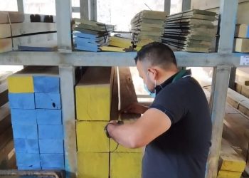 Inab fiscaliza empresas forestales en Chiquimula