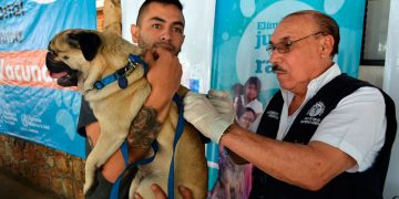 Campaña de vacunación antirrábica canina. / Foto: DCA.