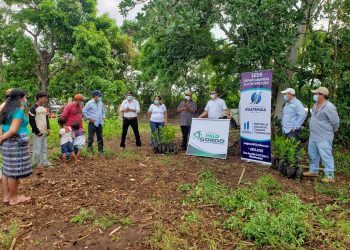 MAGA e Ingenio Palo Gordo entregan 800 plantas de jocote en Suchitepéquez