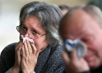 Advierten contra posible temporada de gripe severa para los mayores en Europa