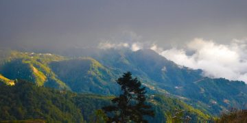 Seminario sobre bosques nubosos