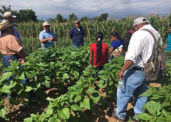 El MARN apoya a agricultores de Chiquimula