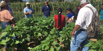 El MARN apoya a agricultores de Chiquimula