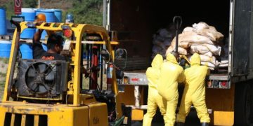 El traslado y destrucción de los mismos se realiza en el Complejo de Incineración de Sustancias Ilícitas.