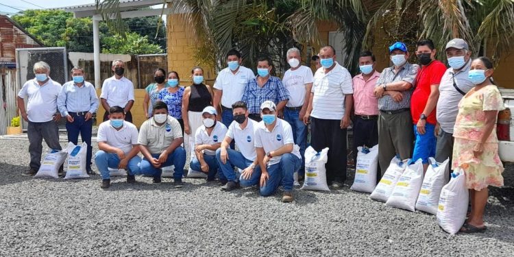 Familias agricultoras de nueve departamentos reciben dotación de semilla mejorada