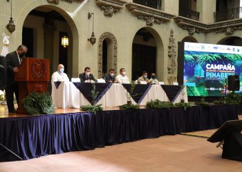 Lanzan Campaña de Control y Conservación del Pinabete en la Temporada Navideña 2021