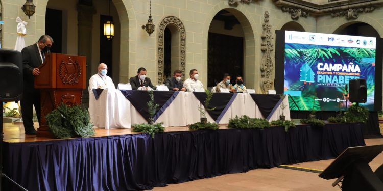 Lanzan Campaña de Control y Conservación del Pinabete en la Temporada Navideña 2021