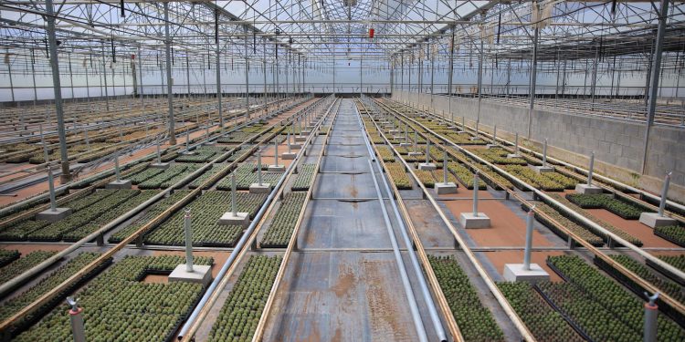 Inauguran estación de cuarentena posentrada en Jalapa