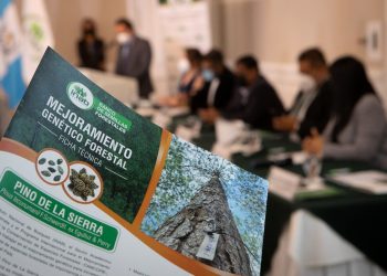 Mejoramiento genético - Inab