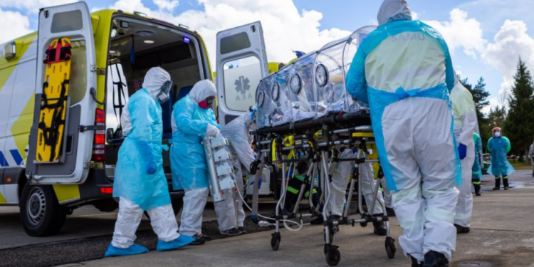 OMS nombra comité de expertos para investigar origen del COVID-19