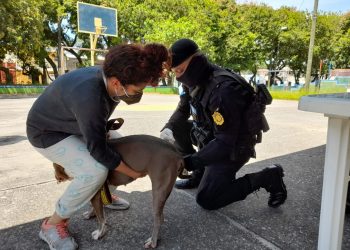 PNC apoya en jornada de vacunación contra la rabia en la zona 6