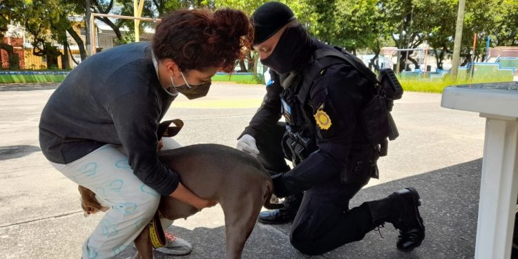 PNC apoya en jornada de vacunación contra la rabia en la zona 6