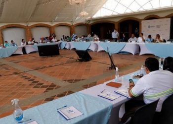 Reunión de preconsulta Minera Fénix