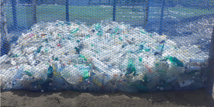 Recíclalos, la iniciativa que promueve el reciclaje de desechos sólidos