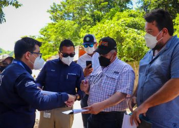 MAGA busca fortalecer exportación de ganado hacia México