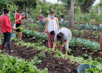 Huerto comunal refuerza seguridad alimentaria en Agua Blanca