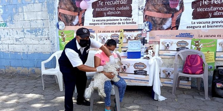 Arranca jornada de vacunación antirrábica en Jalapa