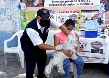 Arranca jornada de vacunación antirrábica en Jalapa