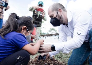 MARN y Energuate contribuyen a la reforestación de Campur