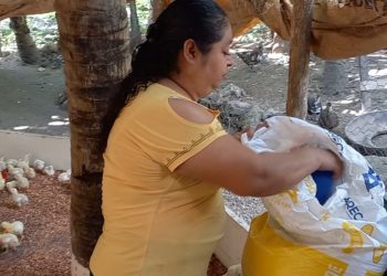 Mujer rural, pilar del desarrollo comunitario