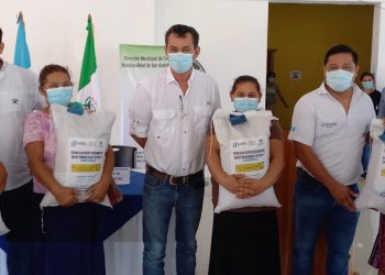 Más de 14 mil familias de Petén se benefician con semilla de maíz mejorada