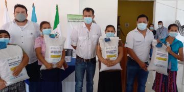 Más de 14 mil familias de Petén se benefician con semilla de maíz mejorada