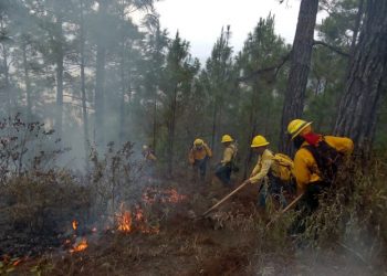 Conred se prepara ante la próxima temporada de incendios forestales