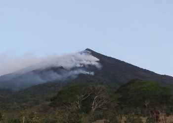 Lanzan campaña para prevenir incendios forestales