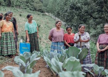 Proyectos productivos, para el progreso de las mujeres rurales