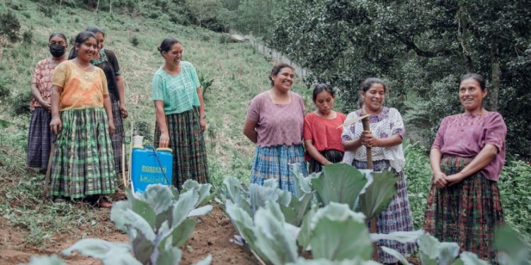 Proyectos productivos, para el progreso de las mujeres rurales