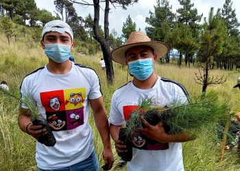 Programa Sembrando Huella ha beneficiado a 48 mil 476 familias