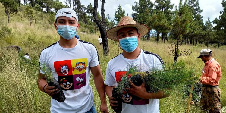 Programa Sembrando Huella ha beneficiado a 48 mil 476 familias